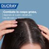 DUCRAY, Kelual Squanorm Shampoo Tratante, Para Caspa Grasa, Limpieza Reguladora