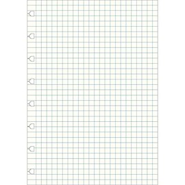 Filofax A5 Squared Notes for Refillable Notebook - White