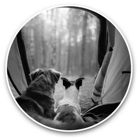 2 x 15cm Vinyl Stickers - Dogs Camping Tent Forest Decals 35452