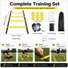 Agility Ladder Training Set for Speed & Footwork – Complete