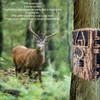 Trail Camera IP66 Waterproof 4K 60MP 0.2s Trigger 120° Wide