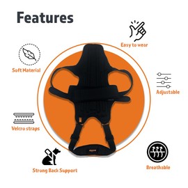 NeoAlly Dog Back Brace for Dogs Arthritis, IVDD, Spinal Surgical Recovery, and Back Disease Prevention (Medium)