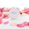 Organic UV Foundation, Rose Rich UV Face Powder, 0.2 oz