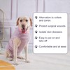Axcimond Dog Bodysuit - Post-Surgery Spay/Neuter Recovery Suit for Female/Male