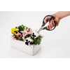Kai KAI Seki Magoroku Flower Cutting Shears, Black, Approx. Width