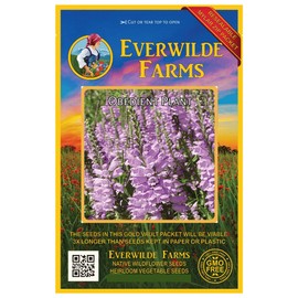Everwilde Farms - 1 Oz Obedient Plant Native Wildflower Seeds - Gold Vault