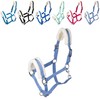 RL24 - Headcollar with Plush Padding Basicline | Halter for