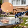 Bird Bath Copper Disk, 99.9% Pure Copper Bird Bath Cleaning