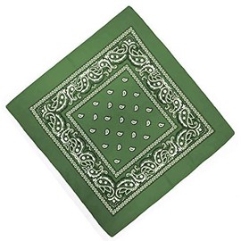 Unknown Biker Motorbike Bandana Head Scarf in Cloth Various Paisley Pattern Colours -