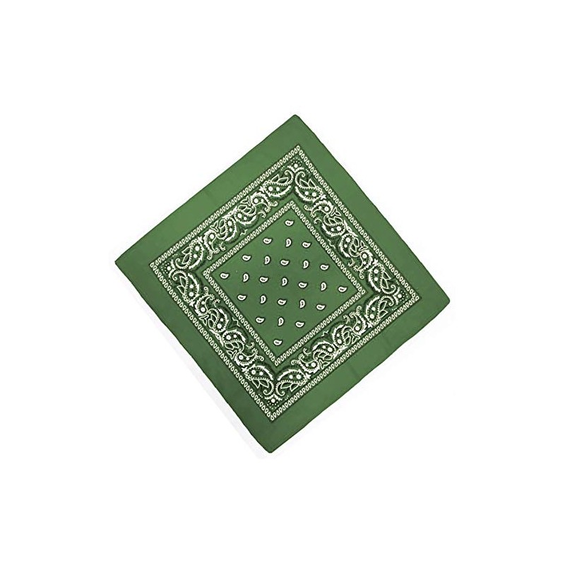Unknown Biker Motorbike Bandana Head Scarf in Cloth Various Paisley