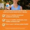 Doctor's Best Fully Active Folate with Quatrefolic400 mcg, Healthy Mood,