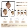 ZQIAN BEAUTY Coletas Postizas con Clip para Mujer - Extensión