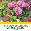 Expert Gardener Potting Mix for Potted Plants ( Choose Your