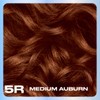 Clairol Nice'n Easy Permanent Hair Dye, 5R Medium Auburn Hair