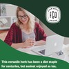 FGO Organic Nettle Leaf Tea, 100 Count, Eco-Conscious Tea Bags,