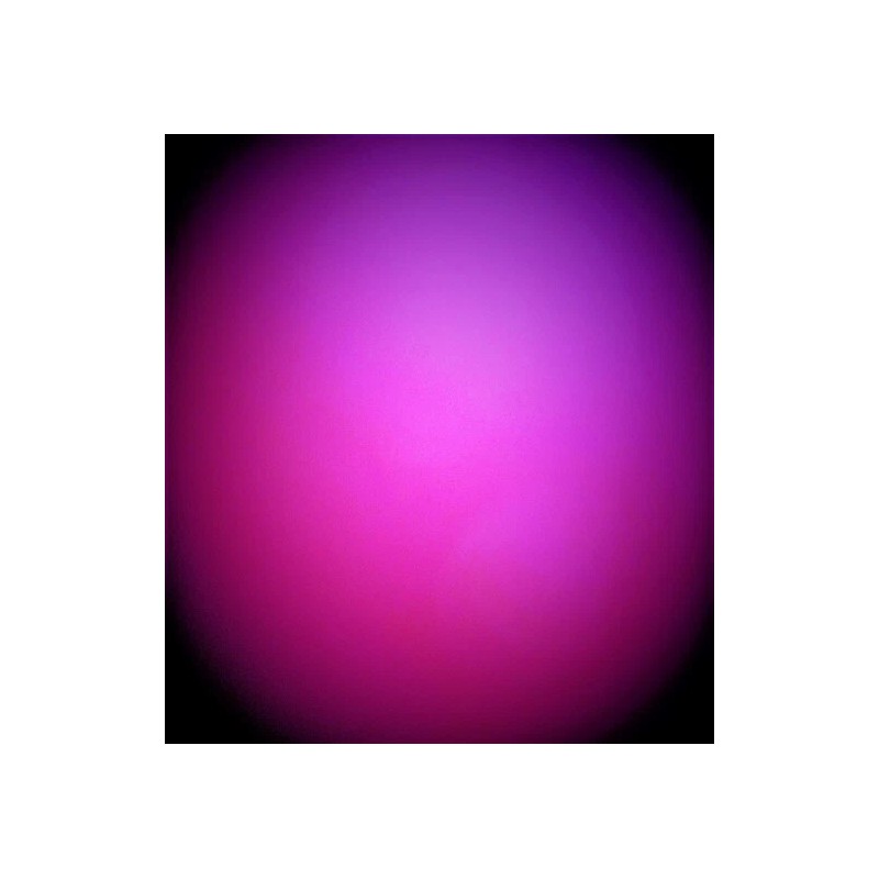 V. President V. President Biker Title Rank Tag Embroidered Iron