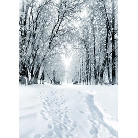 LYWYGG 5x7FT Snow Backdrop Snowflake Background Photo Backdrop Winter Snowy Backdrop Christmas Backdrop Home Photo Background Studio Photography Props CP-285