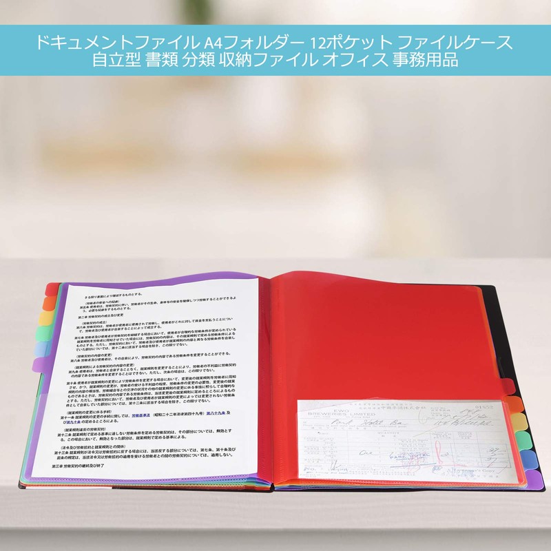 YIYI Document Files A4 Folder 12 Pockets File Case Freestanding