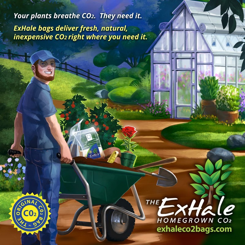 ExHale Homegrown CO2 365 - Self-Activated Bag for Grow Rooms
