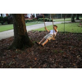 Adventure Parks Classic Maple Swing Backyard Tree Swing Day Care Play 39-CLASW