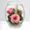Fiora Flower | Long Lasting Real Roses in a Sealed