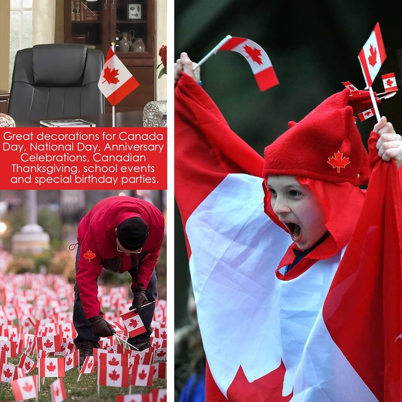Mini Canadian Flags Set with Flagpoles & Maple Leaf Badges