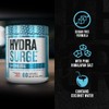 Jacked Factory HYDRASURGE Electrolyte Powder - Hydration Supplement w/Key Minerals,