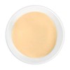 Chamgoods 아누카사과 추출 분말 150g 3통 Anuka Apple Extract Powder