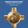 R10000-UNBX Shower Valve Compatible with D Faucet Shower Trim Kits