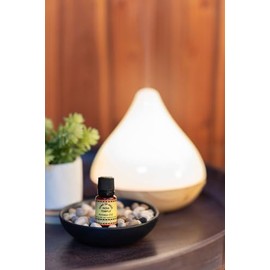 Song of India - India Temple | Natural Fragrance Oil | Set of Four 10ml Bottles |