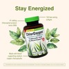Herbs Etc. ChlorOxygen Chlorophyll Concentrate - Aids Healthy Blood Circulation