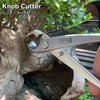 vouiu 6-Piece Bonsai Tool Set,Concave Cutter,Knob Cutter,Jin Pliers,Wire Cutter,Bonsai Scissors,