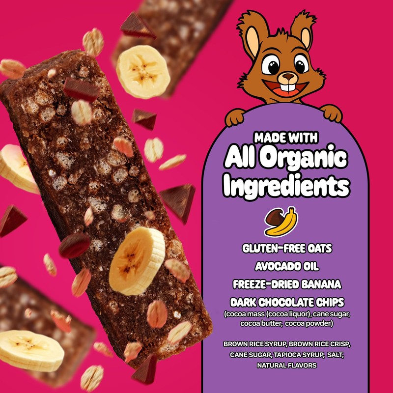 Snakkidz Organic Chewy Granola Bar, Allergen Free, Made with Avocado