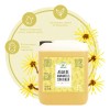 Productos Mart Mexico Agua de Hamamelis y Benjuí Tónico Facial