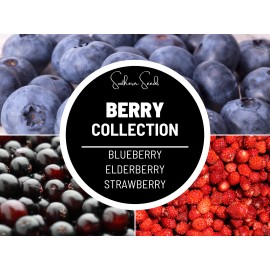 Southern Seeds Berry Seed Collection (Elderberry • Blueberry • Strawberry) - Heirloom, Non-GMO