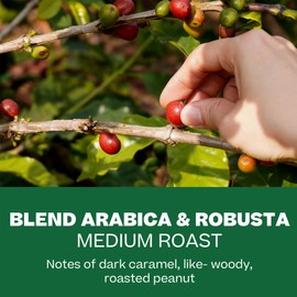 Conihat Coffee Roaster Vietnamese Premium Whole Bean Coffee - Arabica & Robusta Blend, Medium Roast, Single Origin, Rainforest Alliance Certified, Hand-Picked, 16 Oz Bag