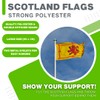 2 Pack 3ft x 5ft Scotland Flags - 91cm x