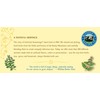 Celestial Seasonings, Mint Magic, 20 ct