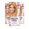 Clairol Nice'n Easy Permanent Hair Dye, 8G Medium Golden Blonde