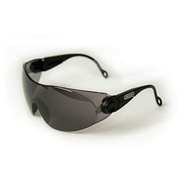 Oregon Safety Glasses