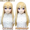 Munimuni Seisakusho Premium Wig [Silver] Long