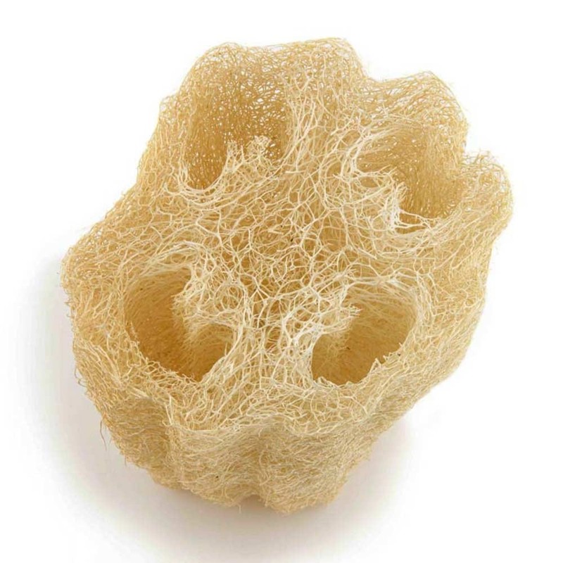 Ecomax Cleopatra Loofah Pad - Large
