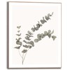 REINDERS Eucalyptus Framed Picture - MDF - 40 x 50