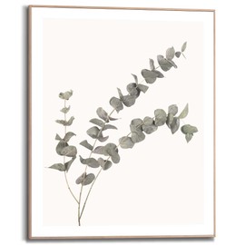 REINDERS Eucalyptus Framed Picture - MDF - 40 x 50 cm - Green