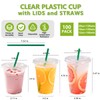 100 Set Plastic Cups with Lids and Straws 20 oz