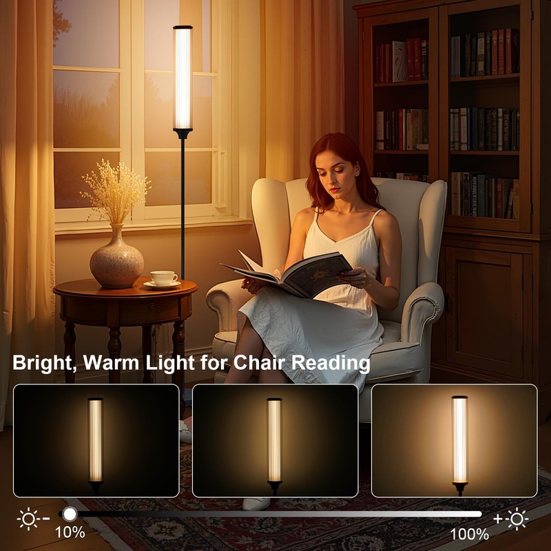 FRIDEKO HOME Smart Corner LED Floor Lamps for Bedroom, Black