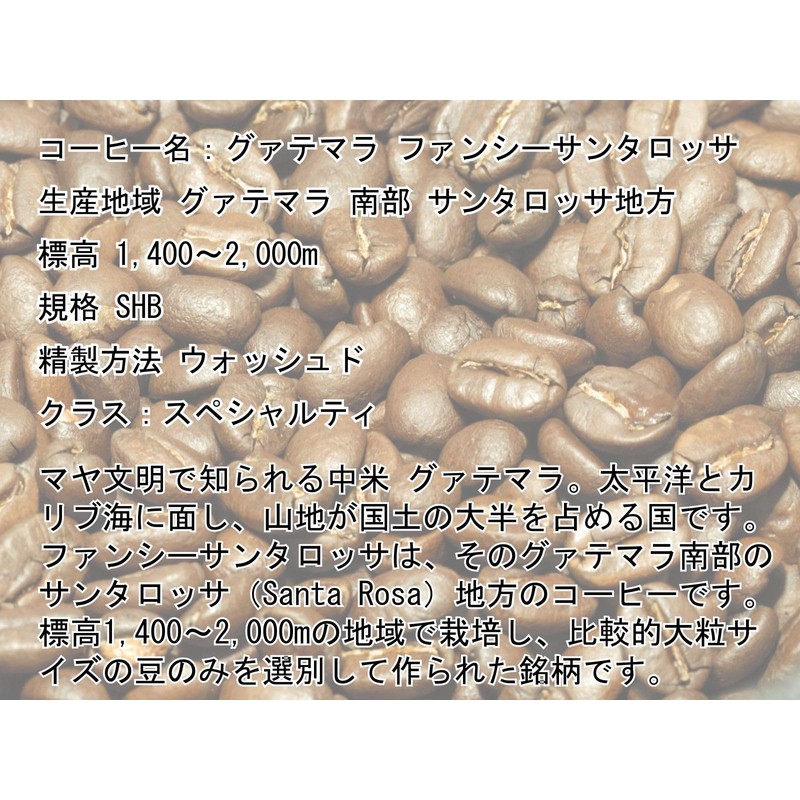 Parrot Coffee Bean Trial Set Brazil & Guatemala (100 Grams