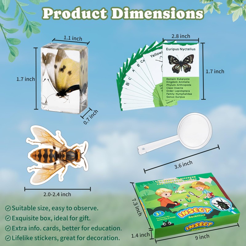 Artojoy 12 PCS Real Insect Resin Specimen, Science Education Bug