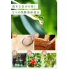 Kirei Delabo Fresh Soap, Facial Cleansing Foam, Raw Soap, Placenta
