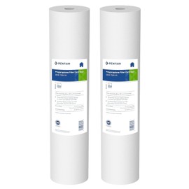 Pentair Pentek DGD-7525-20 Big Blue Water Filter, 20-Inch Whole House Sediment Filter Cartridge Replacement, Dual-Gradient Density Spun Polypropylene, 20" x 4.5", 25 Micron, Pack of 2, White